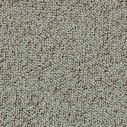 موکت طرح پونه