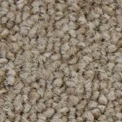 موکت طرح کالر لاین colour line