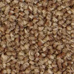 موکت طرح کالر لاین colour line