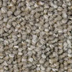 موکت طرح کالر لاین colour line