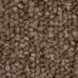 موکت طرح کالر لاین colour line