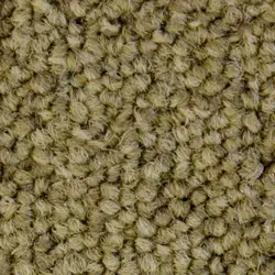 موکت طرح کالر لاین colour line