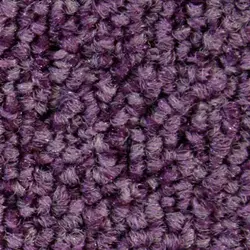 موکت طرح کالر لاین colour line