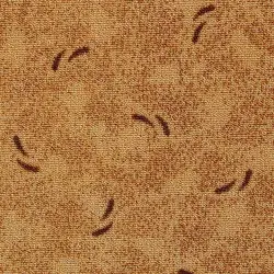 موکت طرح نسیم