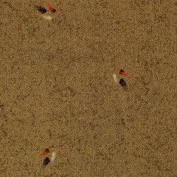 موکت طرح زیتون