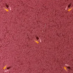 موکت طرح زیتون