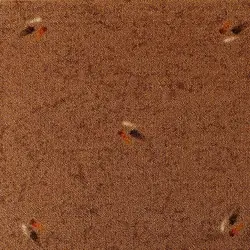 موکت طرح زیتون