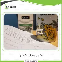 دمنوش کیسه ای مثلثی نعناع گوزل | 20 عددی