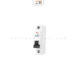 کلید خودکار مینیاتوری C20A یک پل پارس شعاع توس