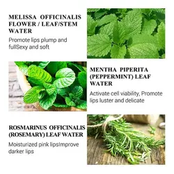 سرم لب حجم دهنده، سفت کننده و کلاژن ساز ایزوفلاون لانبنا (LANBENA Lsoflavone Lip Care Serum)