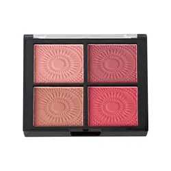 پالت رژگونه 4 رنگ آرت اسکین (Artskin 4 Matte Color Blush-Code A)
