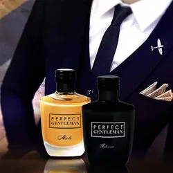 ادو پرفیوم مردانه آرت اند پرفیوم مدل Aerfect Gentleman Intense