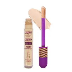 کانسیلر مایع 2 در 1 آرت اسکین (Artskin Pore Less Perfection Eraser Mousse Concealer)