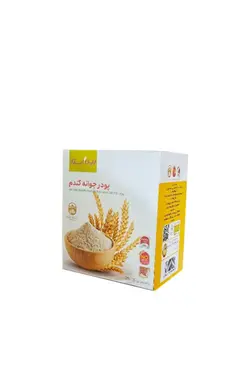 پودر جوانه گندم بین استار (بیز) - کالا وان