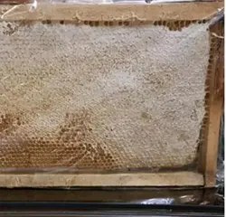 عسل موم دار پنج انگشت 500گرم هربال دراگ استور