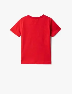 تیشرت طرح پلنگ پسرانه کوتون کد:3SMB10033TK420