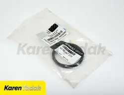 اورینگ ترموستات رنو