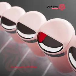 ظرف سبزی خشک کارینا