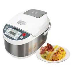 پلوپز بایترون BITRON BRC-38