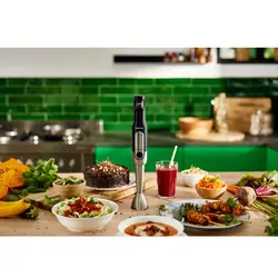 گوشت کوب برقی فیلیپس PHILIPS HR-2652/91