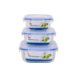 ظروف نگهدارنده 3پارچه مربع نیوگلس(NewGlass) مدل SGB2430