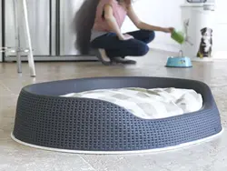 خرید لانه حصیری سگ و گربه کرور (CURVER) بزرگ - فروشگاه اینترنتی خانه نو