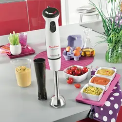 مشخصات،قیمت و خرید گوشت کوب برقی مولینکس مدل DD86 | خان‏ کالا