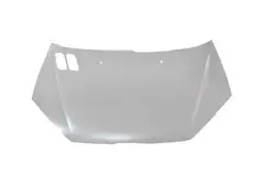 درب موتور 206 سفید - خودرولند