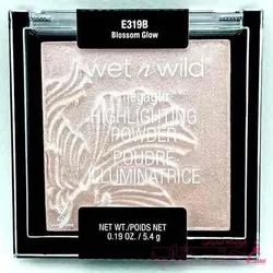 هایلایتر پودری وت اند وایلد319 Wet n Wild Highlighting Powder
