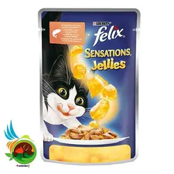 پوچ ژله ای فلیکس با طعم سالمون وزن 100 گرم
