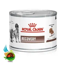 کنسرو رویال کنین مدل Recovery وزن 195 گرم