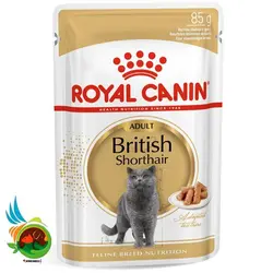 پوچ گربه رویال کنین مدل Royal Canin British Short hair وزن 85 گرم