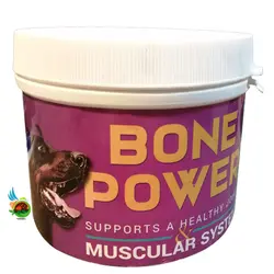 پودر مکمل تقویت مفاصل و سیستم غضلانی سگ مفید Mofeed bone power