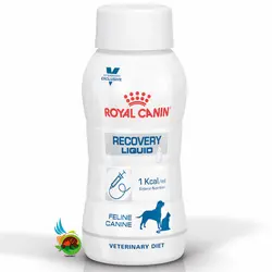 مایع ریکاوری رویال کنین مخصوص سگ و گربه Royal canin recovery liquid حجم 200 میلی لیتر