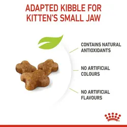 غذای خشک بچه گربه رویال کنین Royal Canin Kitten وزن 1 کیلوگرم ( بسته بندی ملودی مهربانی )