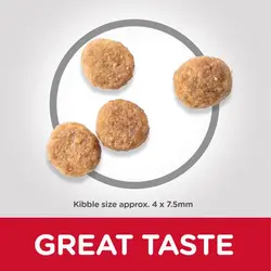 غذای خشک سگ بالغ نژاد کوچک هیلز با طعم مرغ Hill’s science plan sensitive stomach & skin with chicken وزن ۱.۵ کیلوگرم