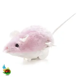 اسباب بازی سگ و گربه مدل موش کوکی