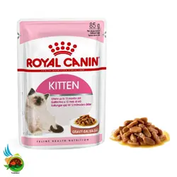 پوچ گربه رویال کنین کیتن Royal canin kitten gravy-salsa وزن 85 گرم