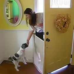 محافظ حیوانات خانگی Look out pet ( ارتفاع 90 سانتی متر )