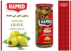 خرید محصول زیتون شور بی هسته