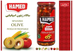 خرید محصول سالاد زیتون اسپانیایی