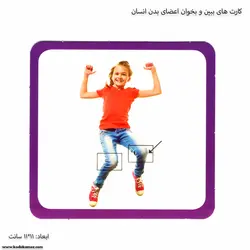 کارت های ببین و بخوان اعضای بدن انسان