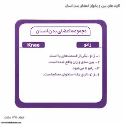 کارت های ببین و بخوان اعضای بدن انسان
