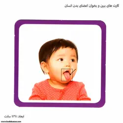 کارت های ببین و بخوان اعضای بدن انسان