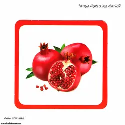 کارت های ببین و بخوان میوه ها