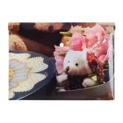 پوشه دکمه دار طرحدار پاپکو کد 114