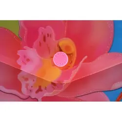 پوشه دکمه دار طرحدار پاپکو کد 114