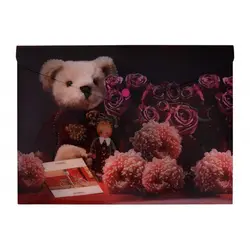 پوشه دکمه دار طرحدار پاپکو کد 114