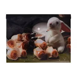 پوشه دکمه دار طرحدار پاپکو کد 114