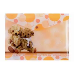 پوشه دکمه دار طرحدار پاپکو کد 114